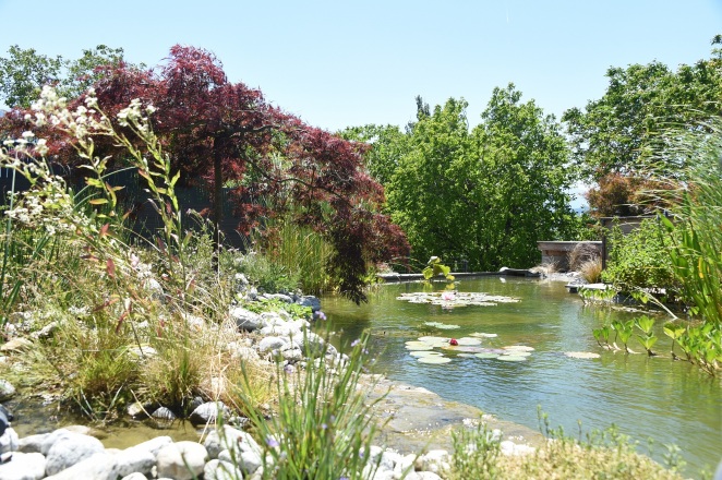 1-bassin-agrement