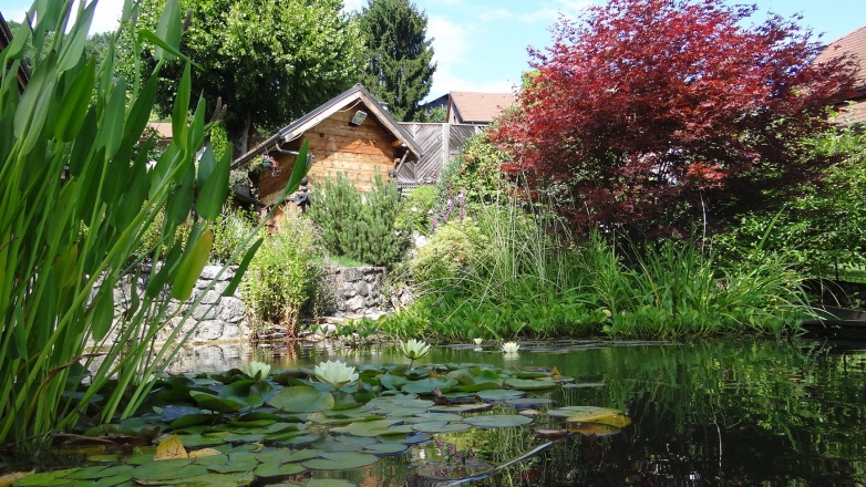 11-bassin-agrement