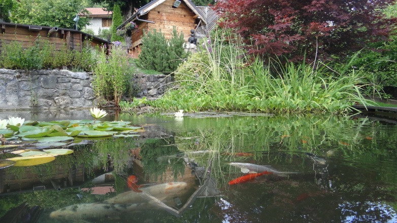 12-bassin-agrement