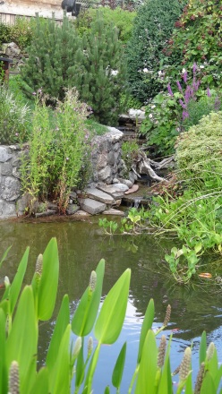 13-bassin-agrement