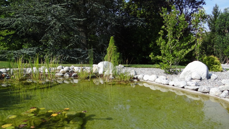 14-bassin-agrement