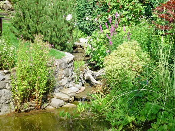 16-bassin-agrement