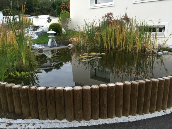 18-bassin-agrement