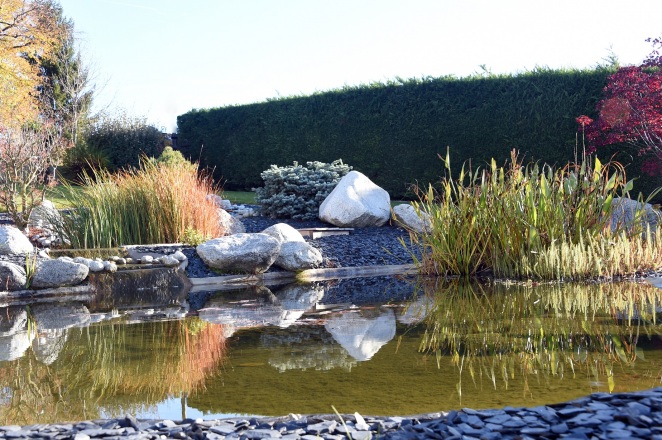 7-bassin-agrement