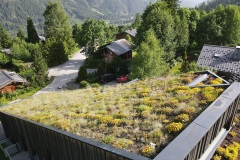 Toiture végétalisée Haute Savoie